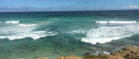 مناشف للشاطئ