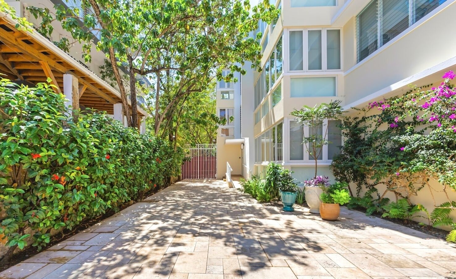 A narrow pathway flanked by lush greenery and potted plants leading to a gated entrance.