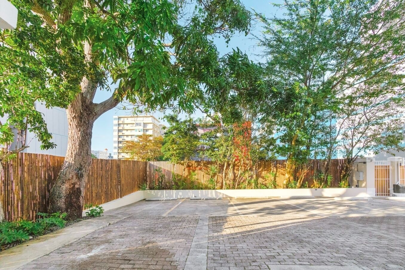 A paved courtyard with a large tree, a wooden fence, and a building in the background.