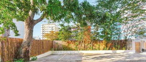 A paved courtyard with a large tree, a wooden fence, and a building in the background.