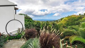 Un jardín con diversas plantas y una lámpara de aro colgante.