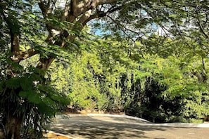 Área da propriedade