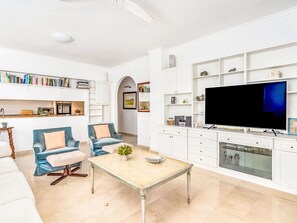 TV