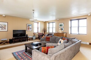 TV, fireplace, DVD player, books