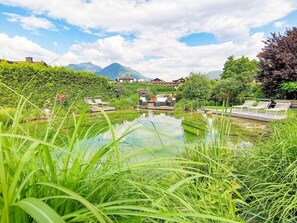 A serene outdoor pool area with lounge chairs, surrounded by lush greenery and mountains in the background.