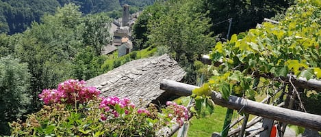 Terrain de lâhĂ©bergement