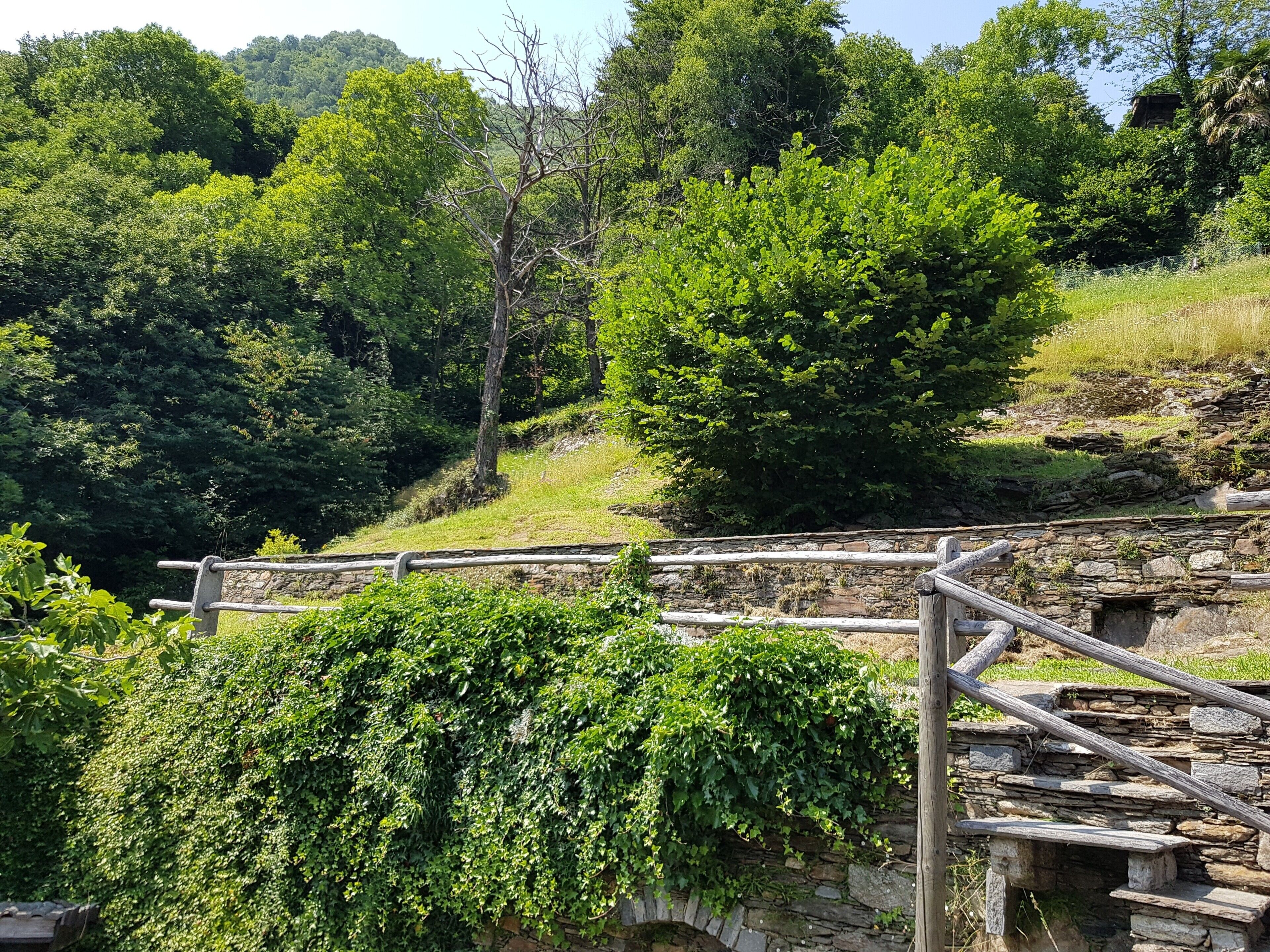 Eine steinerne Treppe mit Holzgeländer, umgeben von üppiger Vegetation und Bäumen.