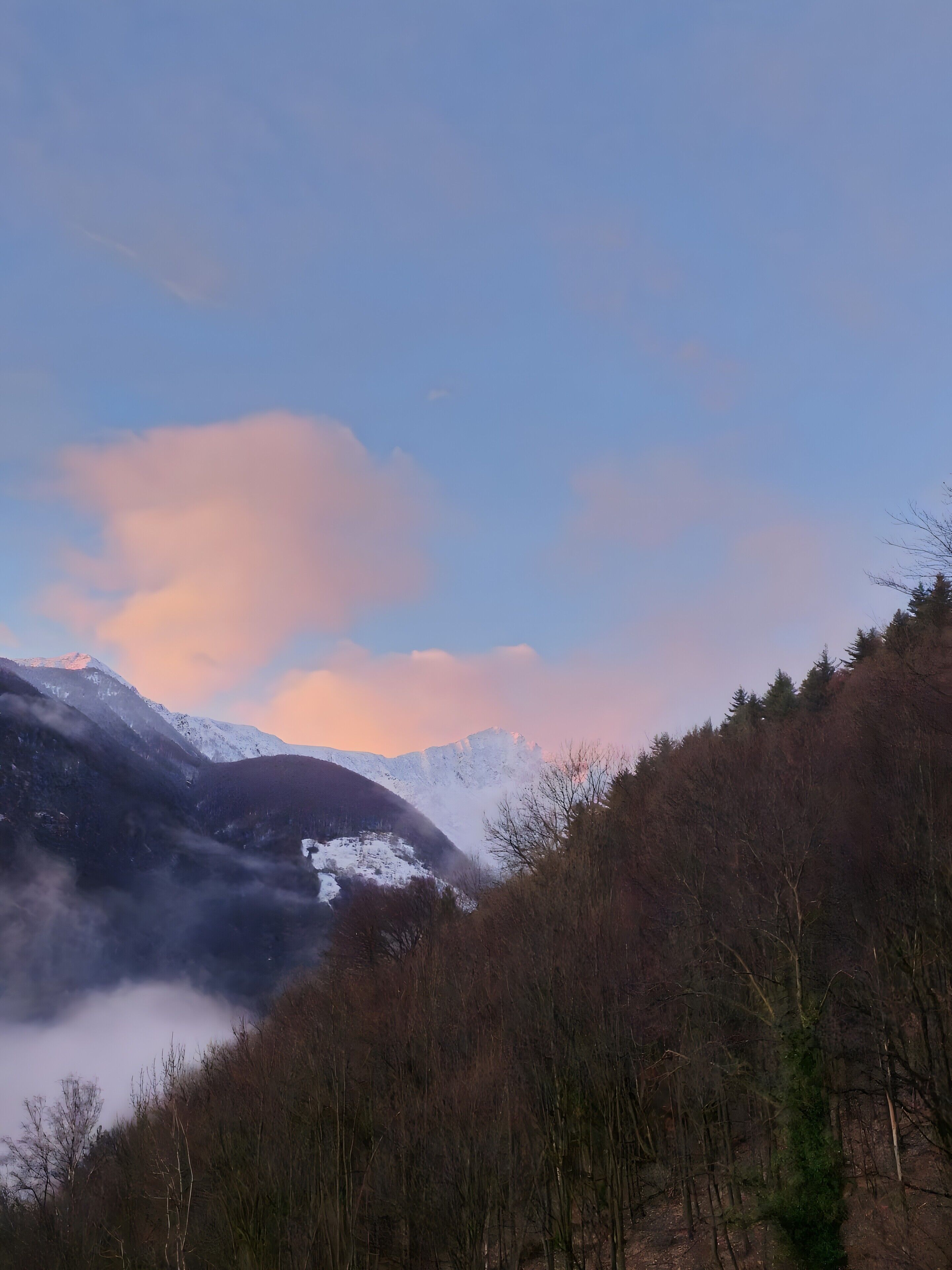 A mountainous landscape with snow-covered peaks and a forested valley.