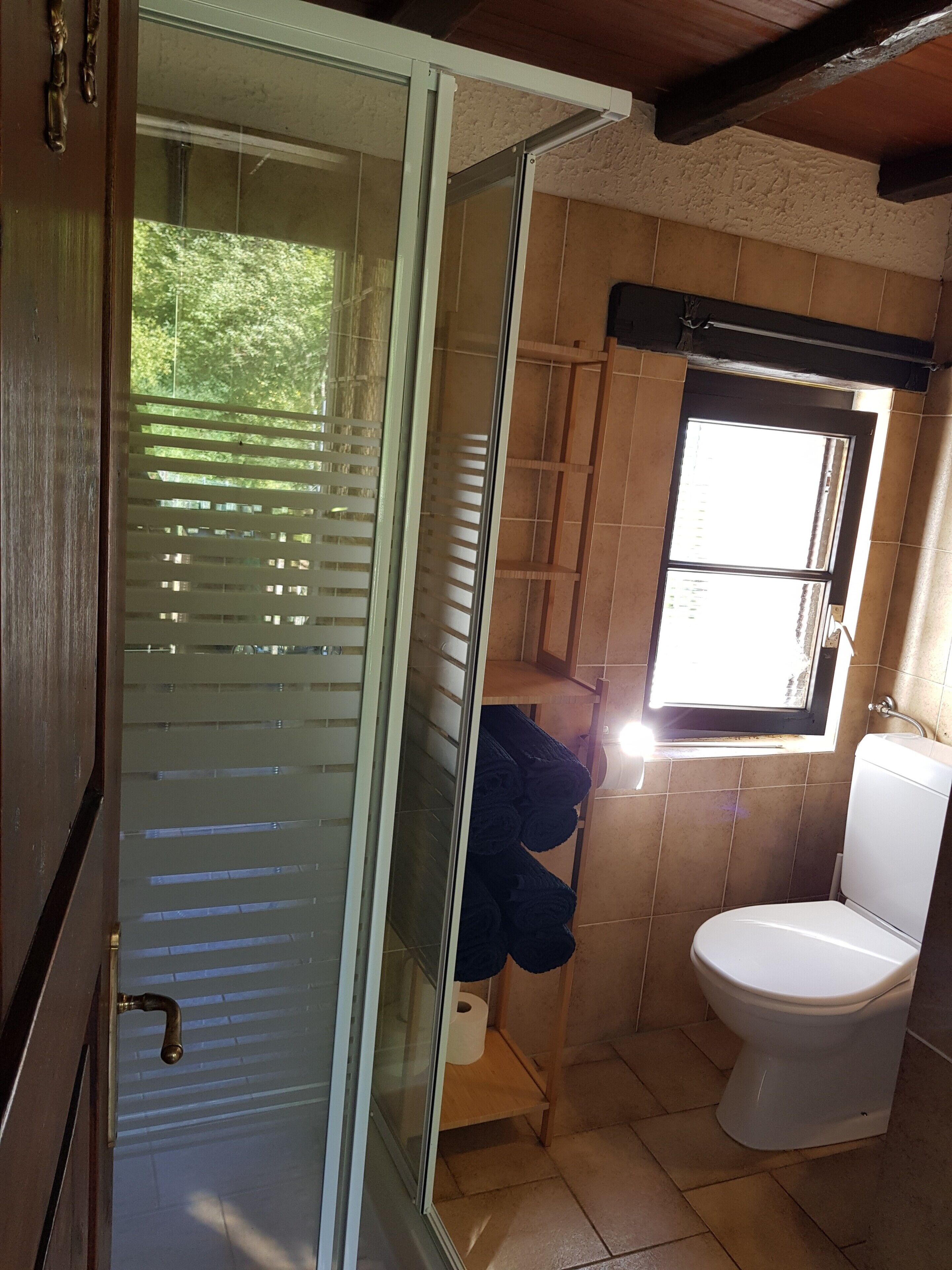 Ein Badezimmer mit Toilette, einer Duschkabine mit Glastüren und einem Fenster für natürliches Licht.