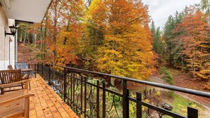 Un balcon donnant sur une forêt en automne.