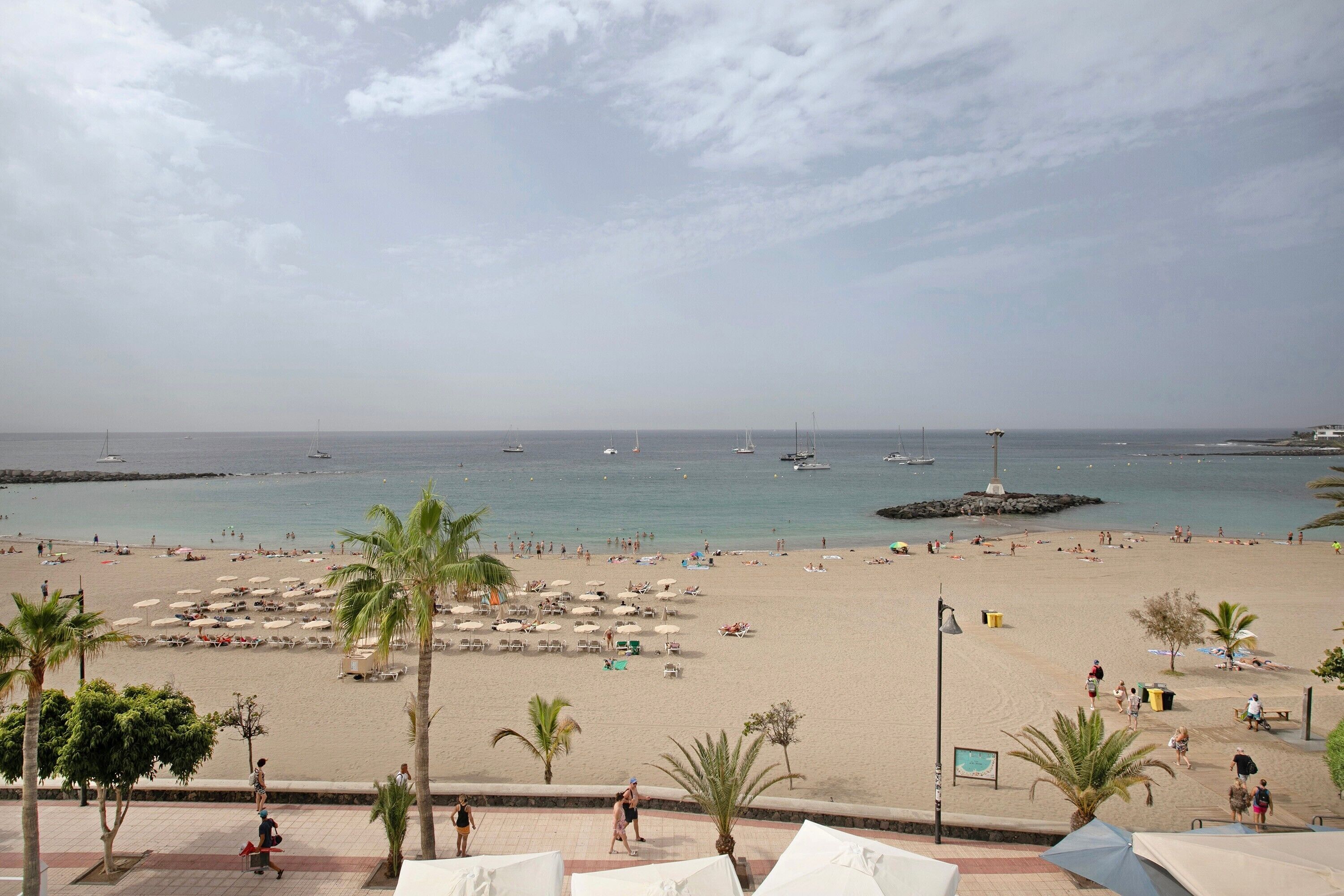 A beach with umbrellas, palm trees, and a view of the sea.