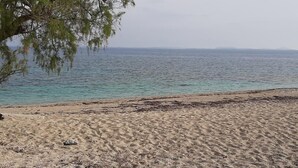 A beach with clear water, a sandy shore, and a tree.