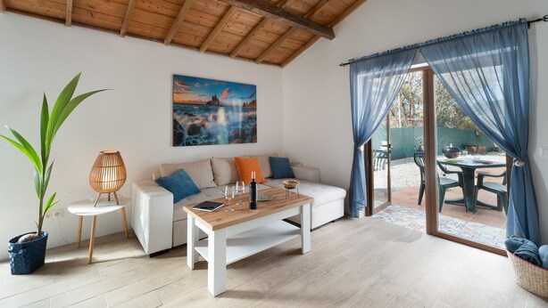 Ein Wohnzimmer mit Holzboden, einem weißen Sofa mit blauen Kissen, einem Holztisch, einem Blumentopf und einem Bild an der Wand.