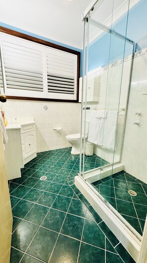 Hair dryer, towels, soap, shampoo
