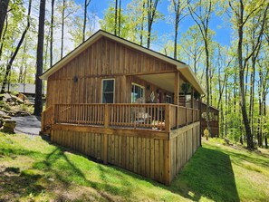 A wooden cabin with a porch, surrounded by trees. - Jungle Boogie in Mountains (Cool Ridge)