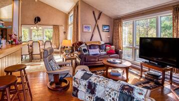 Smart TV, fireplace, DVD player, books