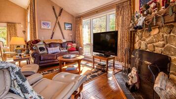 TV connectée, cheminée, lecteur de DVD, livres