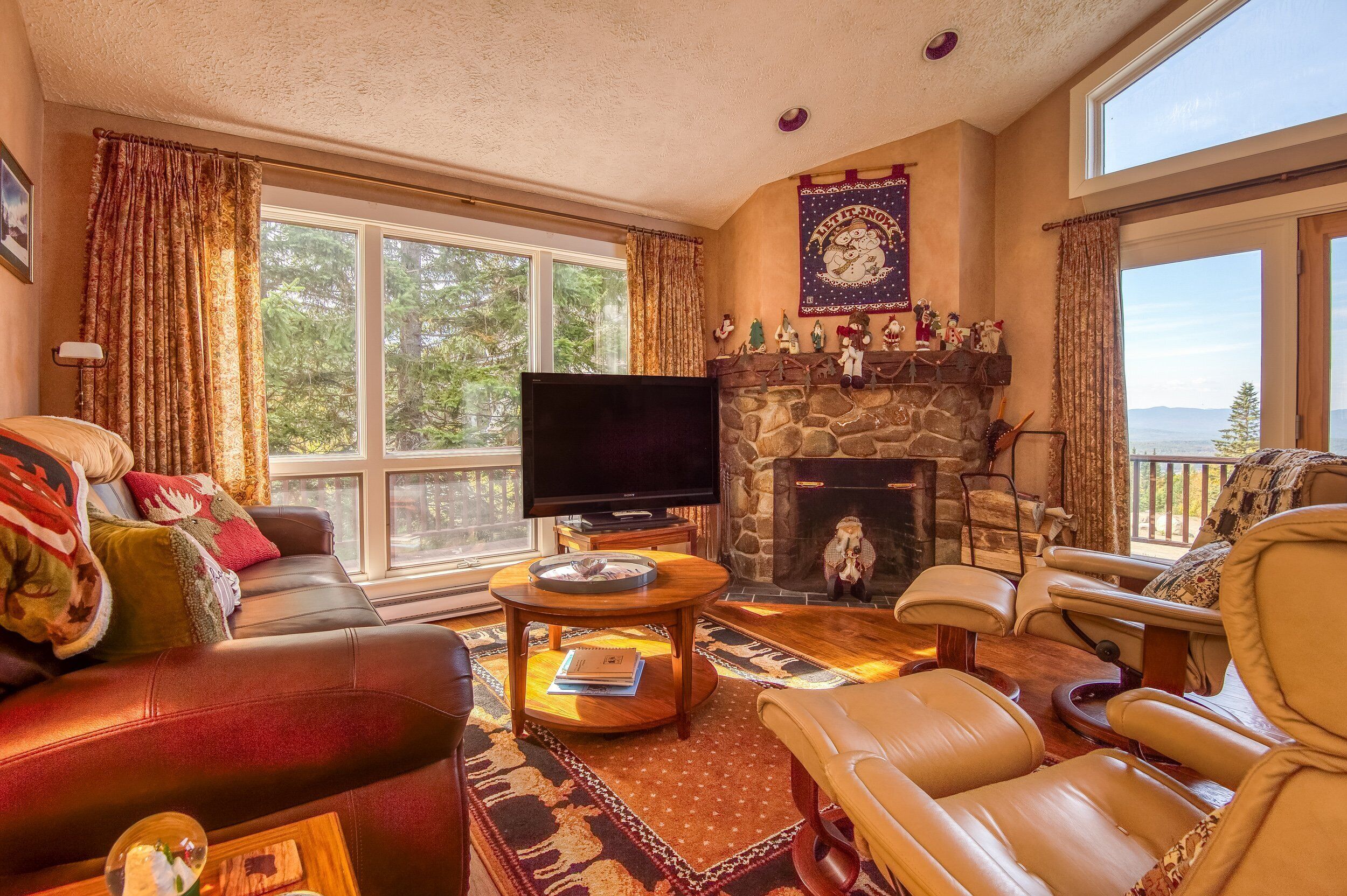 TV connectée, cheminée, lecteur de DVD, livres