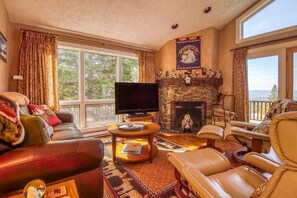 TV connectée, cheminée, lecteur de DVD, livres