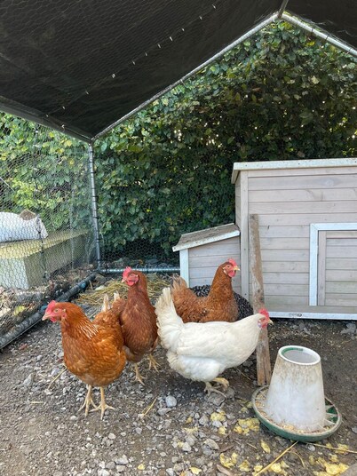 Tranquil countryside farmhouse stay