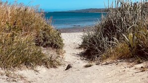 Ein sandiger Küstenpfad führt zum Meer, gesäumt von hohem Gras.