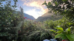 A lush garden with various plants and flowers, including blue hydrangeas, and a mountainous backdrop.