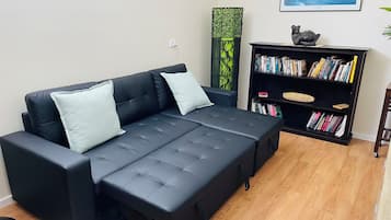 Smart-TV, Kamin, DVD-Player, Tischfußball