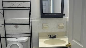A bathroom with a toilet, a sink, a mirror, and a shelf unit.
