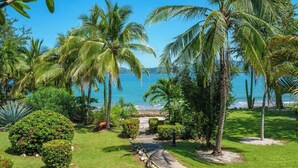 A tropical garden with palm trees and a pathway leading to a beach. - Beachfront paradise in Flamingo Marina - FM407 (Flamingo)