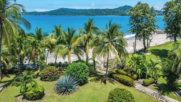 A tropical beach view with palm trees, a clear sky, and a distant mountain range. - Beachfront paradise in Flamingo Marina - FM407 (Flamingo)