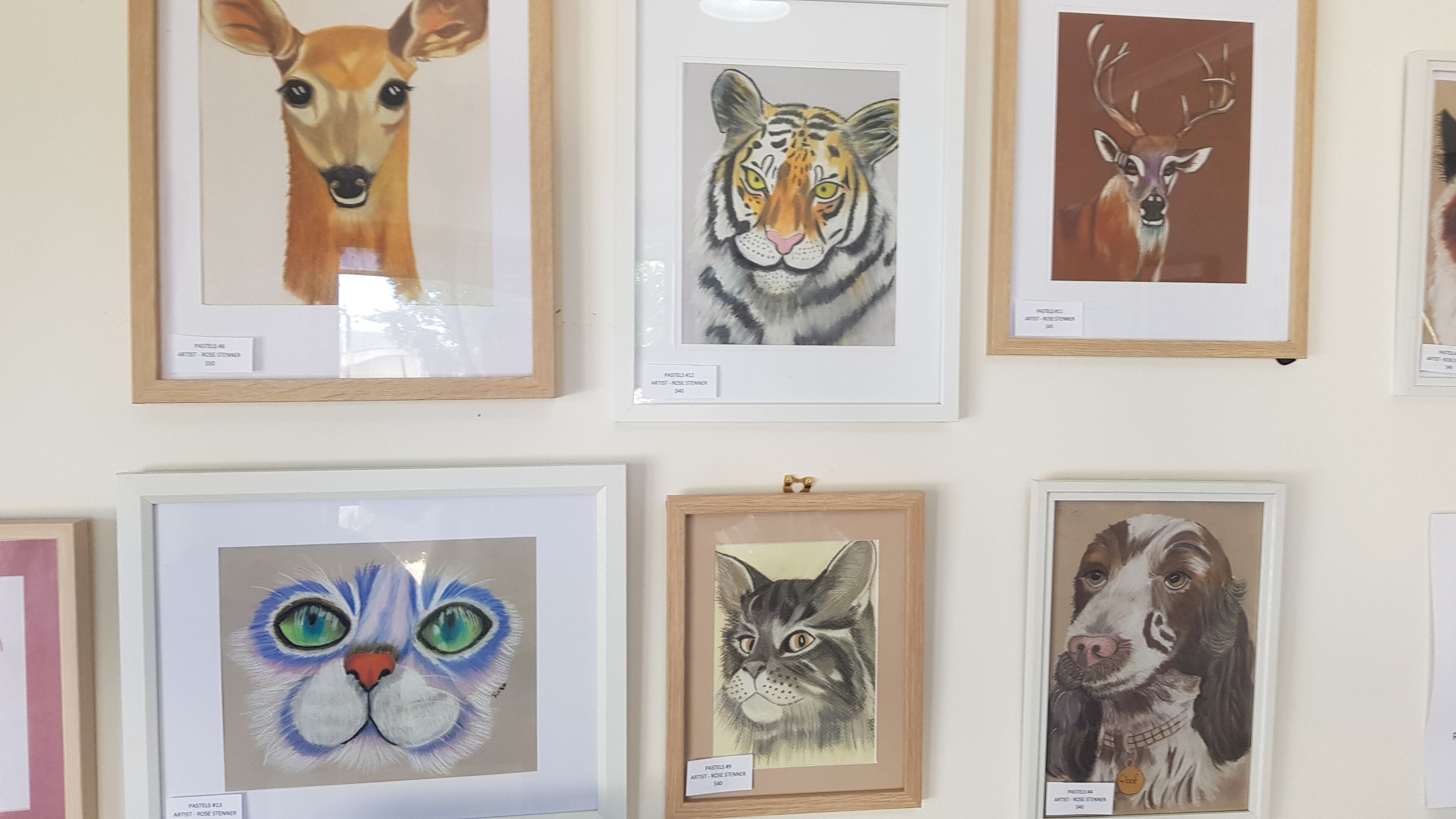 Eine Wand mit gerahmten Tierbildern, darunter ein Hirsch, ein Tiger, eine Katze und ein Hund.