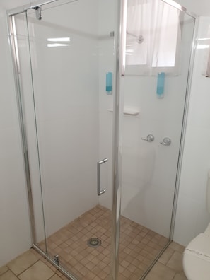 Shower, hair dryer, towels, soap - Finley Palm Motor Inn (Finley)