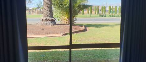 A view through a window with curtains, featuring a palm tree, a grassy area, and a road with buildings in the background.