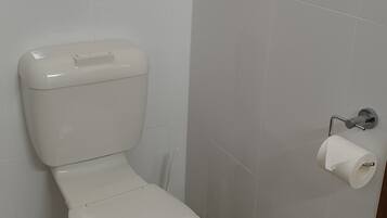 A white toilet with a lid, a toilet paper holder, and a window with sheer curtains.