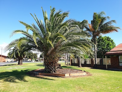 Finley Palm Motor Inn