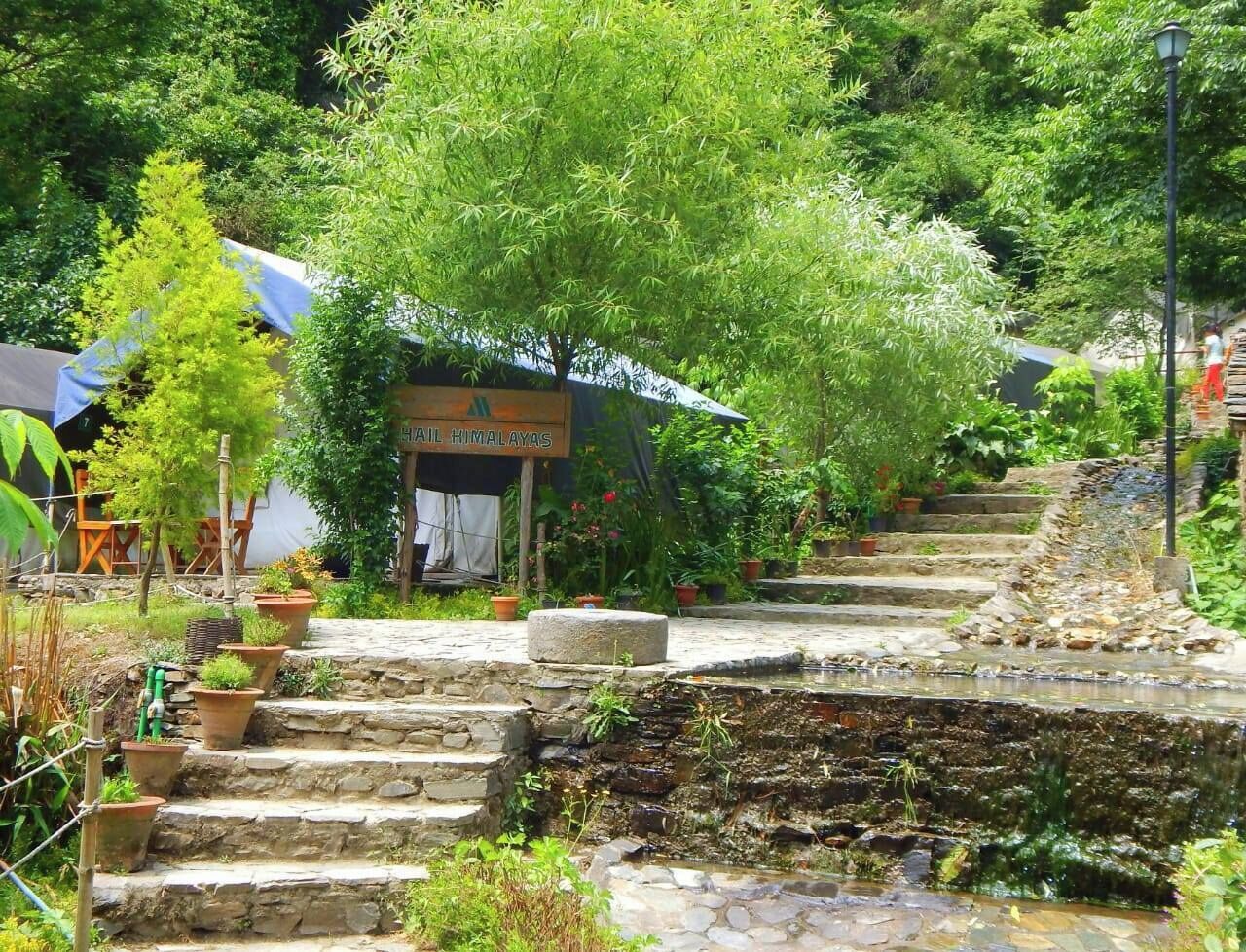 A garden with stone steps leading to a small pond, surrounded by lush greenery and potted plants.
