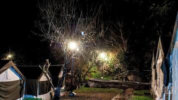 A campsite at night with tents and a pathway.
