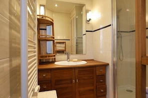 Shower, hair dryer, towels