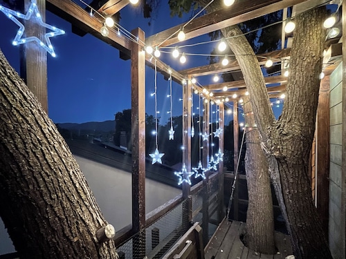 Family Favorite-Mickey Dream Loft + TREE house, A Tiny Home Adventure