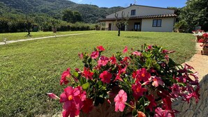 A house with a garden and a mountain in the background.