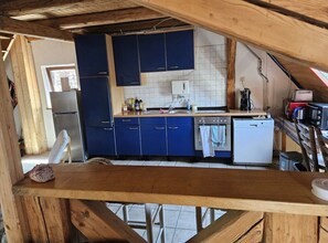 Fridge, microwave, oven, stovetop - 'Rustic Country House' with Private Terrace, Shared Garden and Wi-Fi (Colmberg)