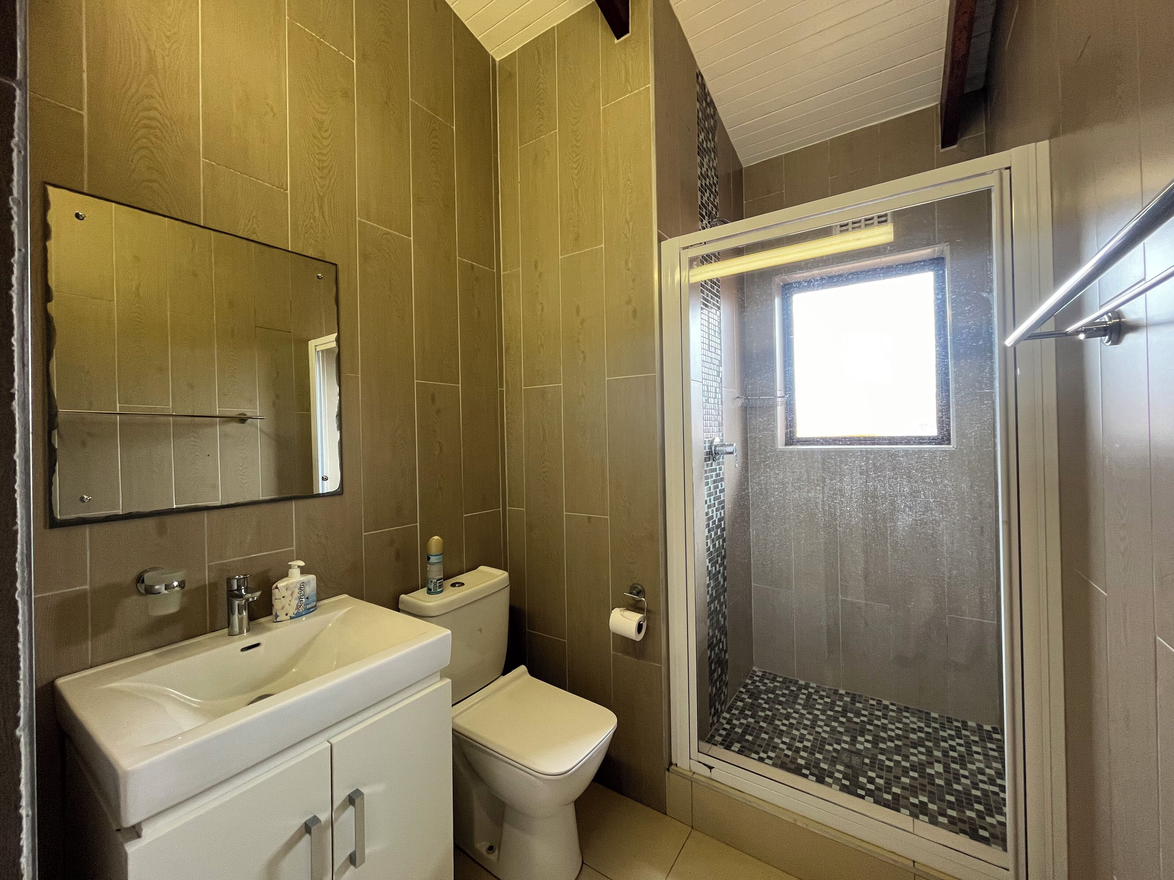 Een badkamer met wastafel, toilet en douche.