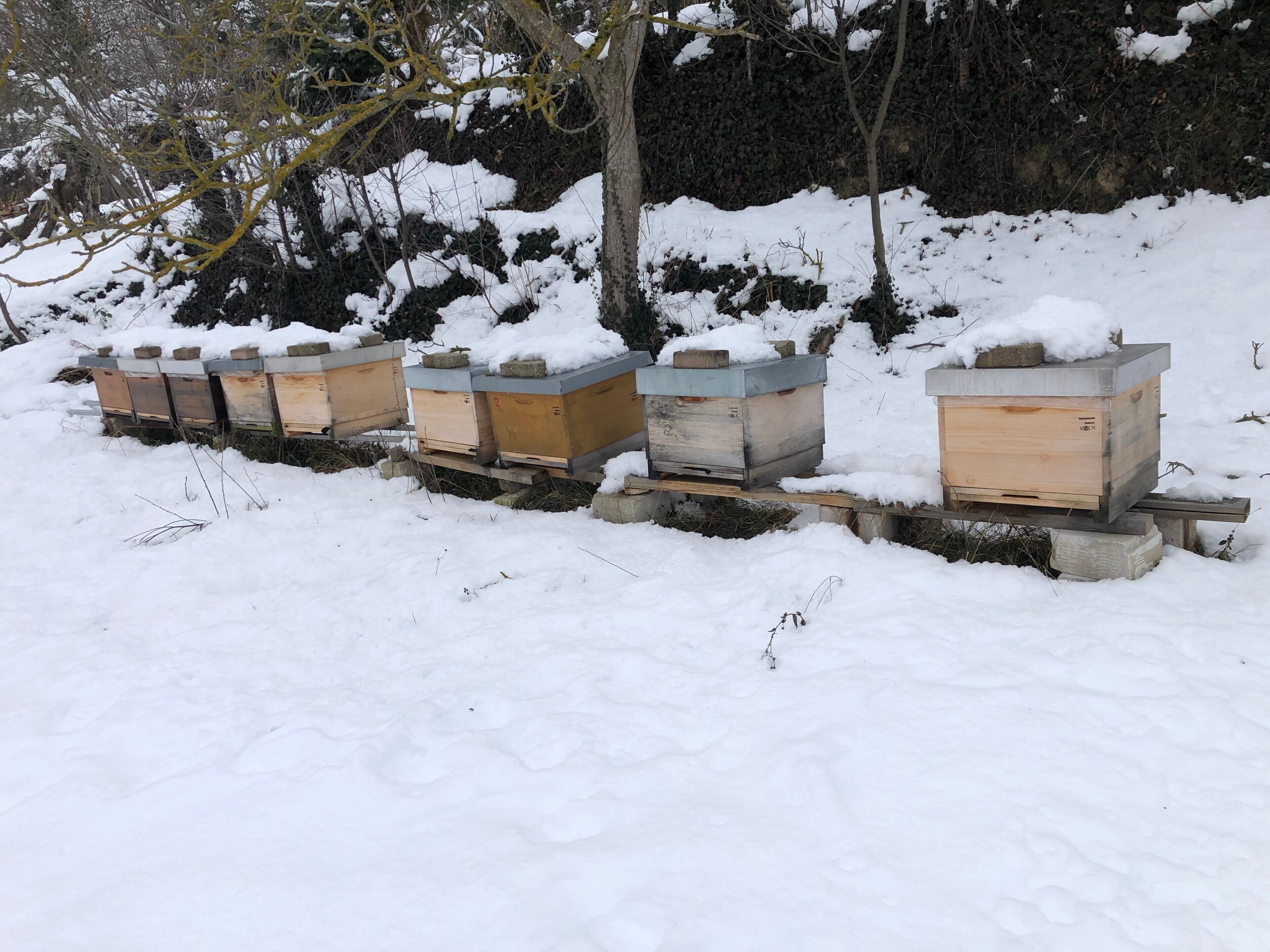 Eine Reihe von Bienenstöcken in verschneiter Landschaft.