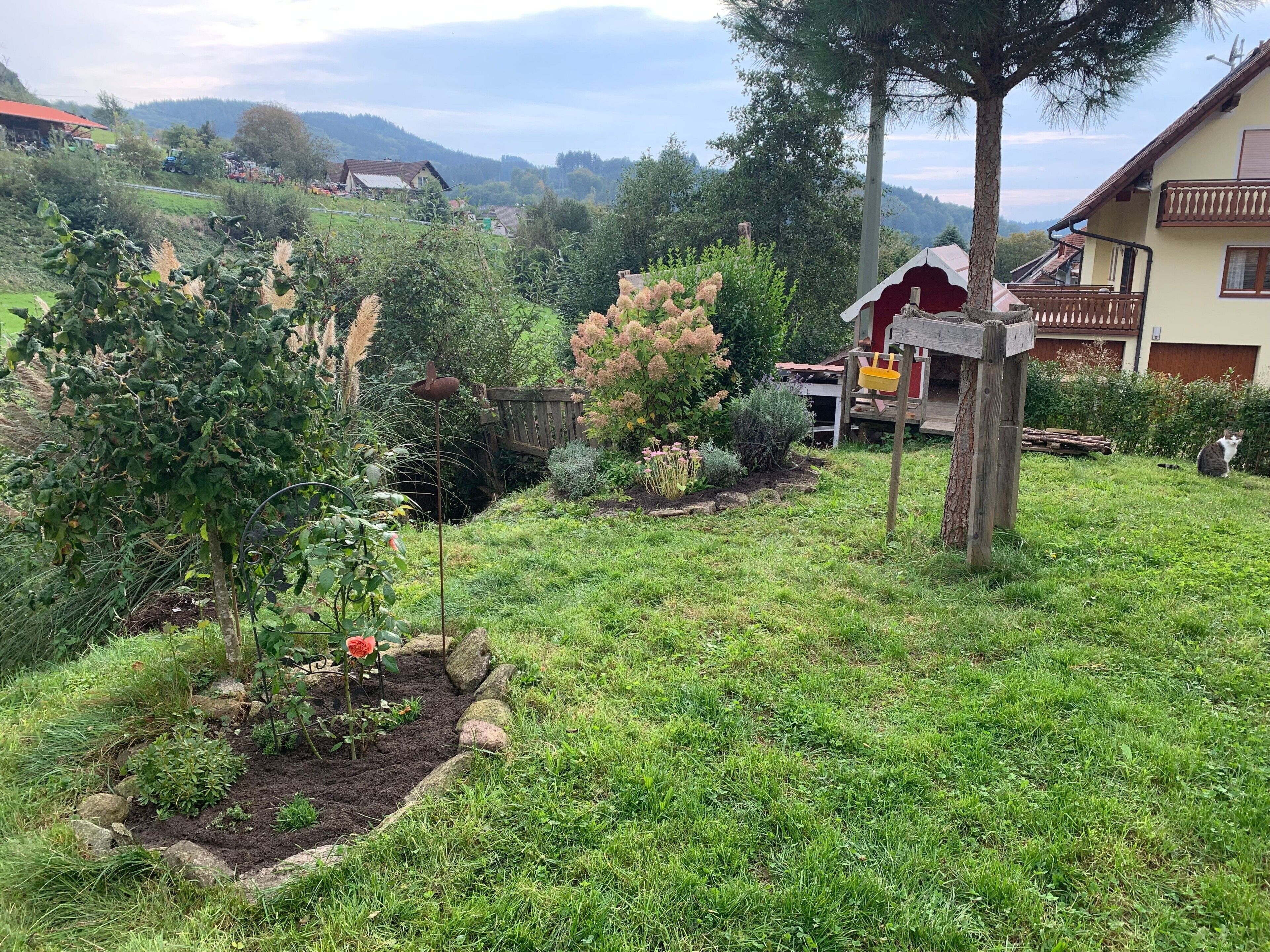 Een tuin met verschillende planten en een houten omheining.