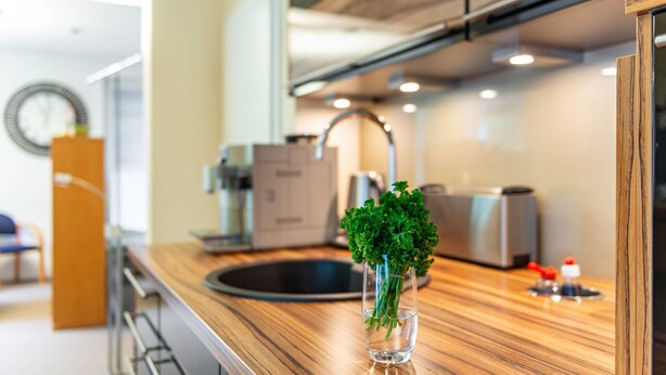 Eine moderne Küche mit einer Holzausziehtafel, einer Glaskaraffe mit grünen Kräutern, einem Spülbecken und einem Toaster.