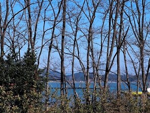 A view of leafless trees and a body of water with distant mountains. - Kkomasi pension (Boseong)