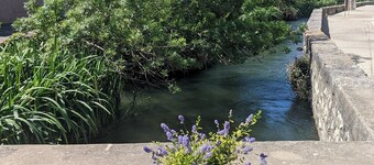 Chambre Voltaire, terrace on the banks of the Sorgue