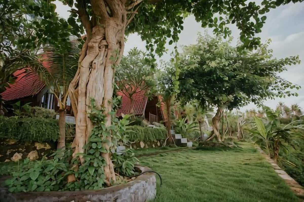 A garden with a large tree, a well-maintained lawn, and a staircase leading to a building.