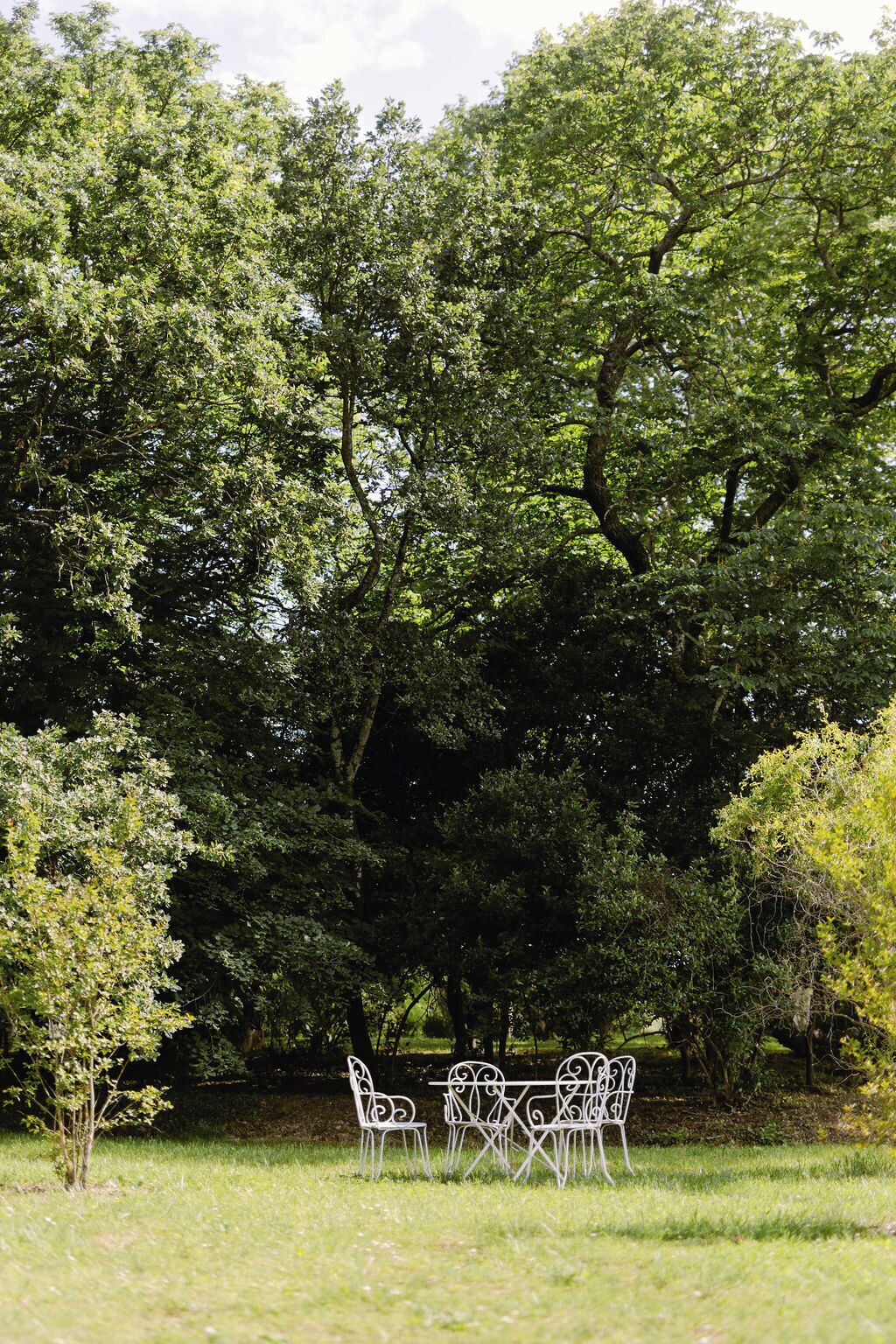 A garden with a table and chairs surrounded by trees.