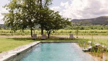 Seasonal outdoor pool, pool loungers